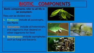 Biotic components refer to all life in
an ecosystem.
They can be divided into:
include all autotrophs.
like Plants
2. Consumers include all heterotrphs
and organisms that depend on
other organisms for food
include saprophytes
such as fungi and bacteria.
 