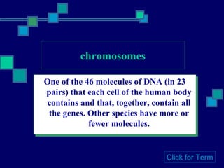 chromosomes One of the 46 molecules of DNA (in 23 pairs) that each cell of the human body contains and that, together, contain all the genes. Other species have more or fewer molecules. Click for Term 