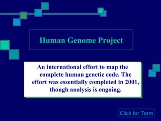 Human Genome Project An international effort to map the complete human genetic code. The effort was essentially completed in 2001, though analysis is ongoing. Click for Term 