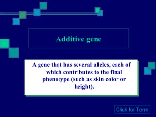 Additive gene A gene that has several alleles, each of which contributes to the final phenotype (such as skin color or height). Click for Term 