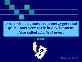 Twins who originate from one zygote that splits apart very early in development. Also called  identical twins . Click for Term 