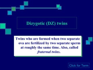 Dizygotic (DZ) twins Twins who are formed when two separate ova are fertilized by two separate sperm at roughly the same time. Also, called  fraternal twins .  Click for Term 