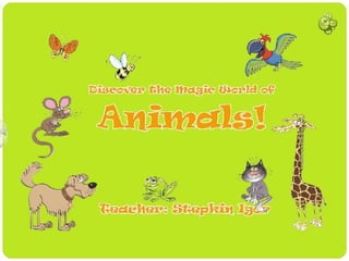 Интерактивный урок по английскому языку "Discover the magic world of animals"