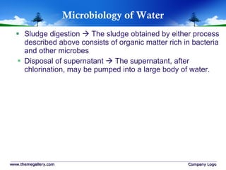 Microbiology of Water Sludge digestion    The sludge obtained by either process described above consists of organic matter rich in bacteria and other microbes Disposal of supernatant    The supernatant, after chlorination, may be pumped into a large body of water. www.themegallery.com Company Logo 