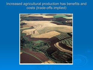 Increased agricultural production has benefits and costs (trade-offs implied) 