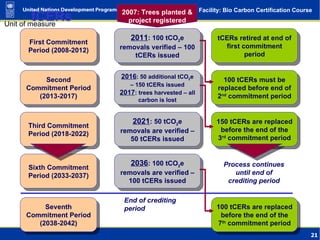 tCERs First Commitment Period (2008-2012) Second Commitment Period (2013-2017) Third Commitment Period (2018-2022) Sixth Commitment Period (2033-2037) Seventh Commitment Period (2038-2042) End of crediting period 2007: Trees planted & project registered 2011 : 100 tCO 2 e removals verified – 100 tCERs issued tCERs retired at end of first commitment period 2016 : 50 additional tCO 2 e – 150 tCERs issued 2017 : trees harvested – all carbon is lost 100 tCERs must be replaced before end of 2 nd  commitment period 2021 : 50 tCO 2 e removals are verified – 50 tCERs issued 150 tCERs are replaced before the end of the 3 rd  commitment period 2036 : 100 tCO 2 e removals are verified – 100 tCERs issued Process continues until end of crediting period 100 tCERs are replaced before the end of the 7 th  commitment period 