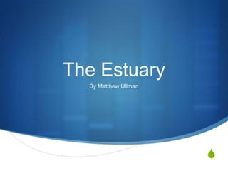 The Estuary
  By Matthew Ullman




                      S
 