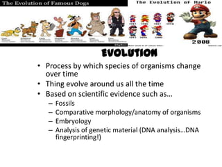 Evolution
• Process by which species of organisms change
  over time
• Thing evolve around us all the time
• Based on scientific evidence such as…
   –   Fossils
   –   Comparative morphology/anatomy of organisms
   –   Embryology
   –   Analysis of genetic material (DNA analysis…DNA
       fingerprinting!)
 