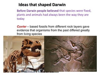 Ideas that shaped Darwin
Before Darwin people believed that species were fixed,
plants and animals had always been the way they are
today

Cuvier – based fossils from different rock layers gave
evidence that organisms from the past differed greatly
from living species
 