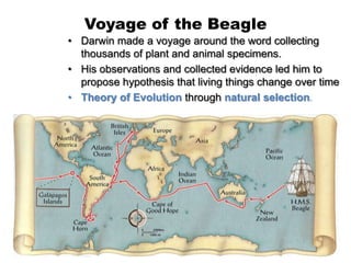 Voyage of the Beagle
• Darwin made a voyage around the word collecting
  thousands of plant and animal specimens.
• His observations and collected evidence led him to
  propose hypothesis that living things change over time
• Theory of Evolution through natural selection.
 