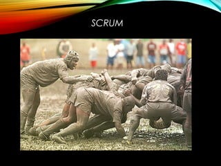 SCRUM
 