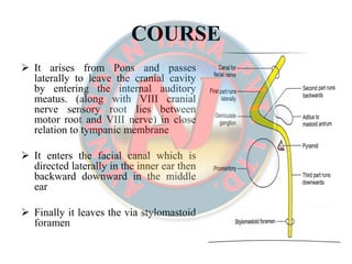 COURSECOURSE
 It arises from Pons and passes
laterally to leave the cranial cavity
by entering the internal auditory
meatus. (along with VIII cranial
nerve sensory root lies between
motor root and VIII nerve) in close
relation to tympanic membrane
 It enters the facial canal which is
directed laterally in the inner ear then
backward downward in the middle
ear
 Finally it leaves the via stylomastoid
foramen
 