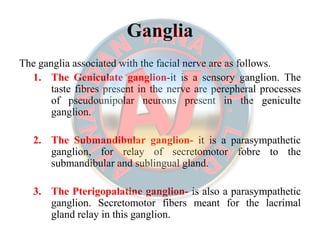 GangliaGanglia
The ganglia associated with the facial nerve are as follows.
1. The Geniculate ganglion-it is a sensory ganglion. The
taste fibres present in the nerve are perepheral processes
of pseudounipolar neurons present in the geniculte
ganglion.
2. The Submandibular ganglion- it is a parasympathetic
ganglion, for relay of secretomotor fobre to the
submandibular and sublingual gland.
3. The Pterigopalatine ganglion- is also a parasympathetic
ganglion. Secretomotor fibers meant for the lacrimal
gland relay in this ganglion.
 