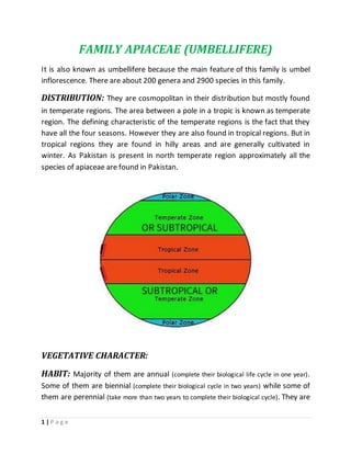 1 | P a g e
FAMILY APIACEAE (UMBELLIFERE)
It is also known as umbellifere because the main feature of this family is umbel
inflorescence. There are about 200 genera and 2900 species in this family.
DISTRIBUTION: They are cosmopolitan in their distribution but mostly found
in temperate regions. The area between a pole in a tropic is known as temperate
region. The defining characteristic of the temperate regions is the fact that they
have all the four seasons. However they are also found in tropical regions. But in
tropical regions they are found in hilly areas and are generally cultivated in
winter. As Pakistan is present in north temperate region approximately all the
species of apiaceae are found in Pakistan.
VEGETATIVE CHARACTER:
HABIT: Majority of them are annual (complete their biological life cycle in one year).
Some of them are biennial (complete their biological cycle in two years) while some of
them are perennial (take more than two years to complete their biological cycle). They are
 