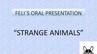 FELI´S ORAL PRESENTATION
“STRANGE ANIMALS”
 