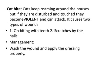 Cat bite: Cats keep roaming around the houses
but if they are disturbed and touched they
becomeVIOLENT and can attack. It causes two
types of wounds
• 1. On biting with teeth 2. Scratches by the
nails
• Management:
• Wash the wound and apply the dressing
properly.
 