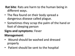 Rat bite: Rats are harm to the human being in
different ways.
• The flea found on their body spread a
dangerous disease called plague.
• Sometimes they scrap the palm of the hand or
foot of sleeping person
Signs and symptoms: Fever
Management:
• Wound should be washed and dressed
properly
• Patient should be sent to the hospital
 