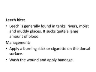 Leech bite:
• Leech is generally found in tanks, rivers, moist
and muddy places. It sucks quite a large
amount of blood.
Management:
• Apply a burning stick or cigarette on the dorsal
surface.
• Wash the wound and apply bandage.
 