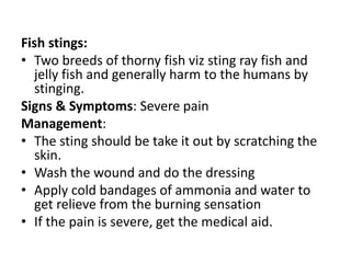 Fish stings:
• Two breeds of thorny fish viz sting ray fish and
jelly fish and generally harm to the humans by
stinging.
Signs & Symptoms: Severe pain
Management:
• The sting should be take it out by scratching the
skin.
• Wash the wound and do the dressing
• Apply cold bandages of ammonia and water to
get relieve from the burning sensation
• If the pain is severe, get the medical aid.
 