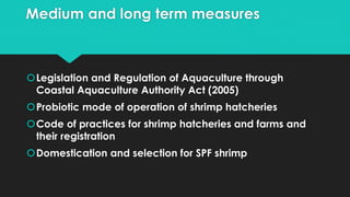 Medium and long term measures
Legislation and Regulation of Aquaculture through
Coastal Aquaculture Authority Act (2005)
Probiotic mode of operation of shrimp hatcheries
Code of practices for shrimp hatcheries and farms and
their registration
Domestication and selection for SPF shrimp
 