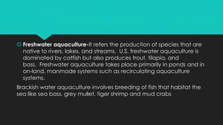  Freshwater aquaculture-It refers the production of species that are
native to rivers, lakes, and streams. U.S. freshwater aquaculture is
dominated by catfish but also produces trout, tilapia, and
bass. Freshwater aquaculture takes place primarily in ponds and in
on-land, manmade systems such as recirculating aquaculture
systems.
Brackish water aquaculture involves breeding of fish that habitat the
sea like sea bass, grey mullet, tiger shrimp and mud crabs
 