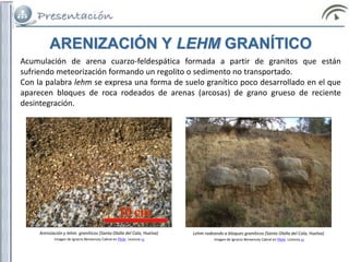 ARENIZACIÓN Y LEHM GRANÍTICO
Arenización y lehm. graníticos (Santa Olalla del Cala, Huelva)
Imagen de Ignacio Benvenuty Cabral en Flickr. Licencia cc
Acumulación de arena cuarzo-feldespática formada a partir de granitos que están
sufriendo meteorización formando un regolito o sedimento no transportado.
Con la palabra lehm se expresa una forma de suelo granítico poco desarrollado en el que
aparecen bloques de roca rodeados de arenas (arcosas) de grano grueso de reciente
desintegración.
Lehm rodeando a bloques graníticos (Santa Olalla del Cala, Huelva)
Imagen de Ignacio Benvenuty Cabral en Flickr. Licencia cc
 