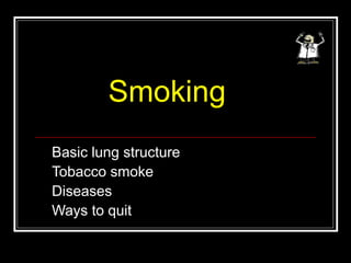 Smoking
Basic lung structure
Tobacco smoke
Diseases
Ways to quit
 