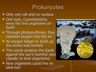 Prokaryotes Only one cell and no nucleus One type, Cyanobacteria, were the first organisms on Earth Through photosynthesis, they released oxygen into the air As oxygen began to build up, the ozone was formed The ozone protects the Earth against the sun’s harmful rays (deadly to land organisms) Now organisms could live on land too! 