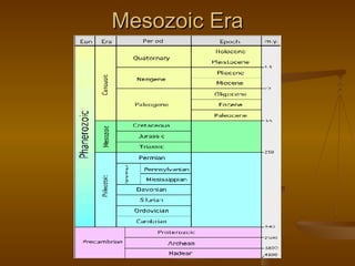 Mesozoic Era 