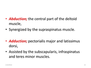 • Abduction; the central part of the deltoid
muscle,
• Synergized by the supraspinatus muscle.

• Adduction; pectorialis major and latissimus
dorsi,
• Assisted by the subscapularis, infraspinatus
and teres minor muscles.
2/10/2014

13

 