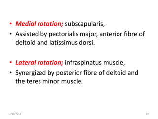 • Medial rotation; subscapularis,
• Assisted by pectorialis major, anterior fibre of
deltoid and latissimus dorsi.
• Lateral rotation; infraspinatus muscle,
• Synergized by posterior fibre of deltoid and
the teres minor muscle.

2/10/2014

14

 