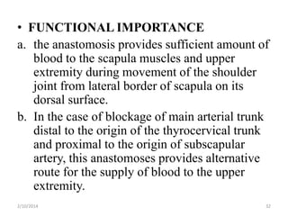 • FUNCTIONAL IMPORTANCE
a. the anastomosis provides sufficient amount of
blood to the scapula muscles and upper
extremity during movement of the shoulder
joint from lateral border of scapula on its
dorsal surface.
b. In the case of blockage of main arterial trunk
distal to the origin of the thyrocervical trunk
and proximal to the origin of subscapular
artery, this anastomoses provides alternative
route for the supply of blood to the upper
extremity.
2/10/2014

32

 