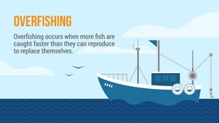 OVERFISHING
Overﬁshing occurs when ﬁsh are
caught faster than they can reproduce
to replace themselves.
 