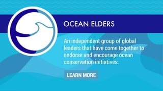 ONE WORLD ONE OCEAN
Aims to bring awareness through
educational IMAX ﬁlms and
outreach programs, inspiring
audiences to take action.
LEARN MORE
 