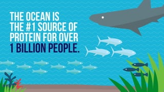 The ocean is  
the #1 source of
protein for over  
1 billion people.
 