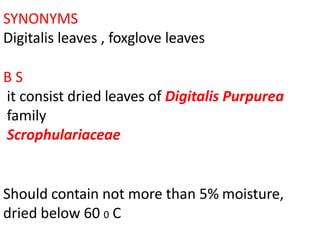 SYNONYMS
Digitalis leaves , foxglove leaves
B S
it consist dried leaves of Digitalis Purpurea
family
Scrophulariaceae
Should contain not more than 5% moisture,
dried below 60 0 C
 