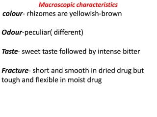 Macroscopic characteristics
colour- rhizomes are yellowish-brown
Odour-peculiar( different)
Taste- sweet taste followed by intense bitter
Fracture- short and smooth in dried drug but
tough and flexible in moist drug
 