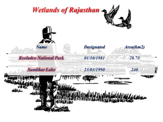 Wetlands of Rajasthan
Name Designated Area(km2)
Keoladeo National Park 01/10/1981 28.73
Sambhar Lake 23/03/1990 240
 