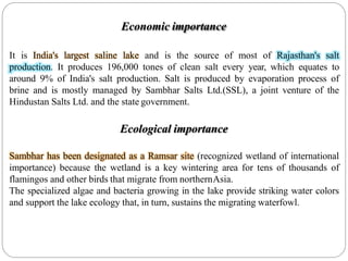 Economic importance
It is India's largest saline lake and is the source of most of Rajasthan's salt
production. It produces 196,000 tones of clean salt every year, which equates to
around 9% of India's salt production. Salt is produced by evaporation process of
brine and is mostly managed by Sambhar Salts Ltd.(SSL), a joint venture of the
Hindustan Salts Ltd. and the state government.
Ecological importance
Sambhar has been designated as a Ramsar site (recognized wetland of international
importance) because the wetland is a key wintering area for tens of thousands of
flamingos and other birds that migrate from northernAsia.
The specialized algae and bacteria growing in the lake provide striking water colors
and support the lake ecology that, in turn, sustains the migrating waterfowl.
 