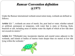 Under the Ramsar international wetland conservation treaty, wetlands are defined as
follows:
Article 1.1: "...wetlands are areas of marsh, fen, peat land or water, whether natural
or artificial, permanent or temporary, with water that is static or flowing, fresh,
brackish or salt, including areas of marine water the depth of which at low tide does
not exceed six meters."
Article 2.1: "[Wetlands] may incorporate riparian and coastal zones adjacent to the
wetlands, and islands or bodies of marine water deeper than six meters at low tide
lying within the wetlands."
Ramsar Convention definition
@1971
 