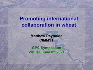 Promoting international
collaboration in wheat
Matthew Reynolds
CIMMYT
GPC Symposium
Virtual, June 8th 2021
 