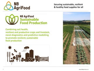 7 www.N8AgriFood.ac.uk
Securing sustainable, resilient
& healthy food supplies for all
Combining soil health,
resilient and productive crops and livestock,
novel diagnostics and predictive modelling
to promote resilient, sustainable
food production
 