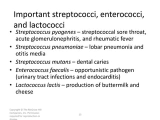 Copyright © The McGraw-Hill
Companies, Inc. Permission
required for reproduction or
13
Important streptococci, enterococci,
and lactococci
• Streptococcus pyogenes – streptococcal sore throat,
acute glomerulonephritis, and rheumatic fever
• Streptococcus pneumoniae – lobar pneumonia and
otitis media
• Streptococcus mutans – dental caries
• Enterococcus faecalis – opportunistic pathogen
(urinary tract infections and endocarditis)
• Lactococcus lactis – production of buttermilk and
cheese
 