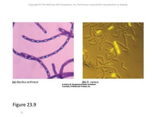 Copyright © The McGraw-Hill Companies, Inc. Permission required for reproduction or display.
21
Figure 23.9
 