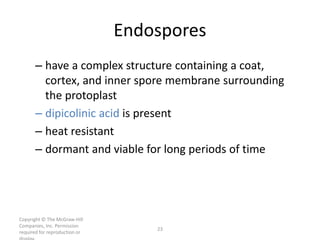 Copyright © The McGraw-Hill
Companies, Inc. Permission
required for reproduction or
23
Endospores
– have a complex structure containing a coat,
cortex, and inner spore membrane surrounding
the protoplast
– dipicolinic acid is present
– heat resistant
– dormant and viable for long periods of time
 