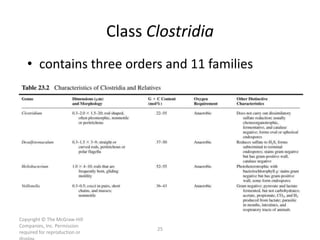 Copyright © The McGraw-Hill
Companies, Inc. Permission
required for reproduction or
25
Class Clostridia
• contains three orders and 11 families
 