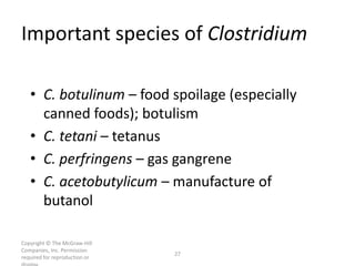 Copyright © The McGraw-Hill
Companies, Inc. Permission
required for reproduction or
27
Important species of Clostridium
• C. botulinum – food spoilage (especially
canned foods); botulism
• C. tetani – tetanus
• C. perfringens – gas gangrene
• C. acetobutylicum – manufacture of
butanol
 