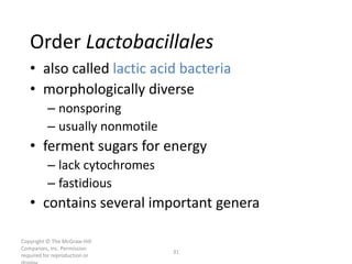 Copyright © The McGraw-Hill
Companies, Inc. Permission
required for reproduction or
31
Order Lactobacillales
• also called lactic acid bacteria
• morphologically diverse
– nonsporing
– usually nonmotile
• ferment sugars for energy
– lack cytochromes
– fastidious
• contains several important genera
 