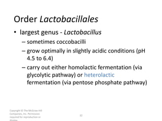 Copyright © The McGraw-Hill
Companies, Inc. Permission
required for reproduction or
32
Order Lactobacillales
• largest genus - Lactobacillus
– sometimes coccobacilli
– grow optimally in slightly acidic conditions (pH
4.5 to 6.4)
– carry out either homolactic fermentation (via
glycolytic pathway) or heterolactic
fermentation (via pentose phosphate pathway)
 