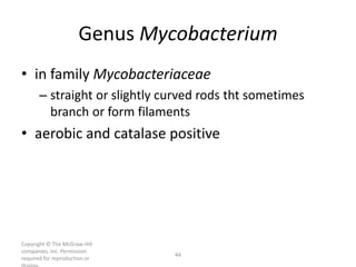 Copyright © The McGraw-Hill
companies, Inc. Permission
required for reproduction or
44
Genus Mycobacterium
• in family Mycobacteriaceae
– straight or slightly curved rods tht sometimes
branch or form filaments
• aerobic and catalase positive
 